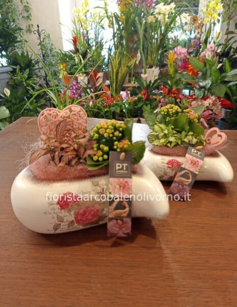 composizione piante miste con vaso cuore ceramica